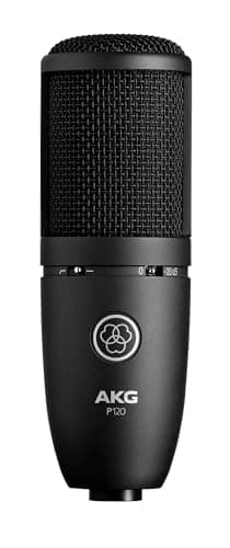 AKG AKG Pro Audio P120