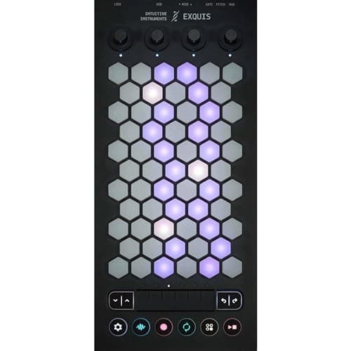 Intuitive Intuitive Instruments Exquis 61-Key MPE MIDI Controller